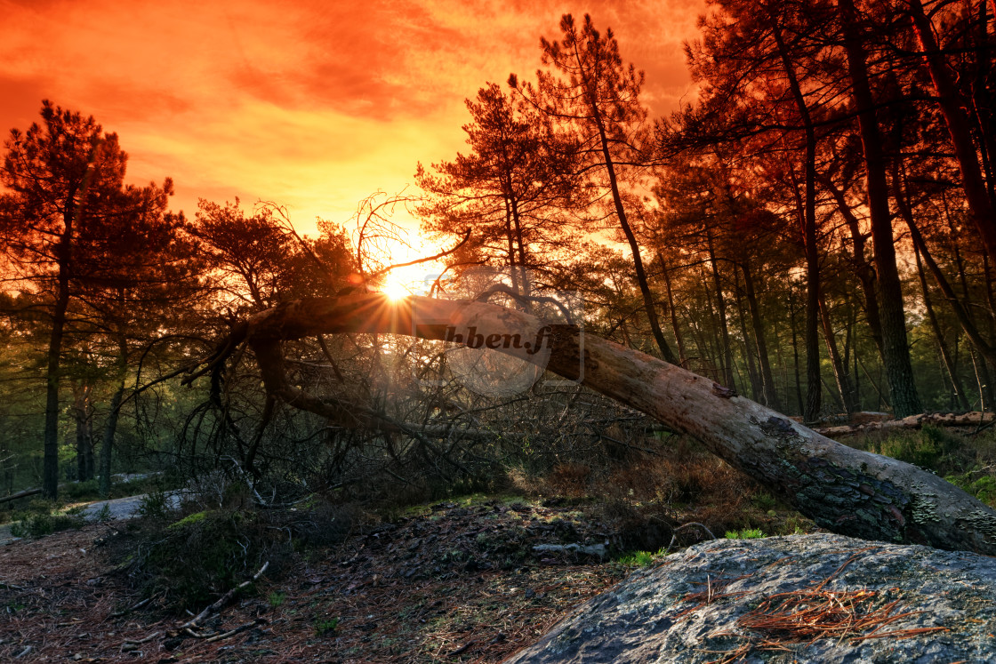 "Route des hautes plaines" stock image