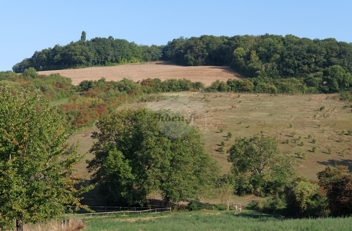 "Hiking path" stock image