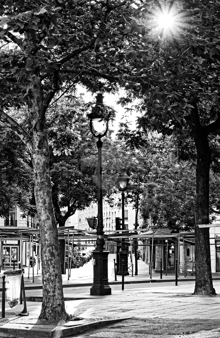 "Parisian street" stock image