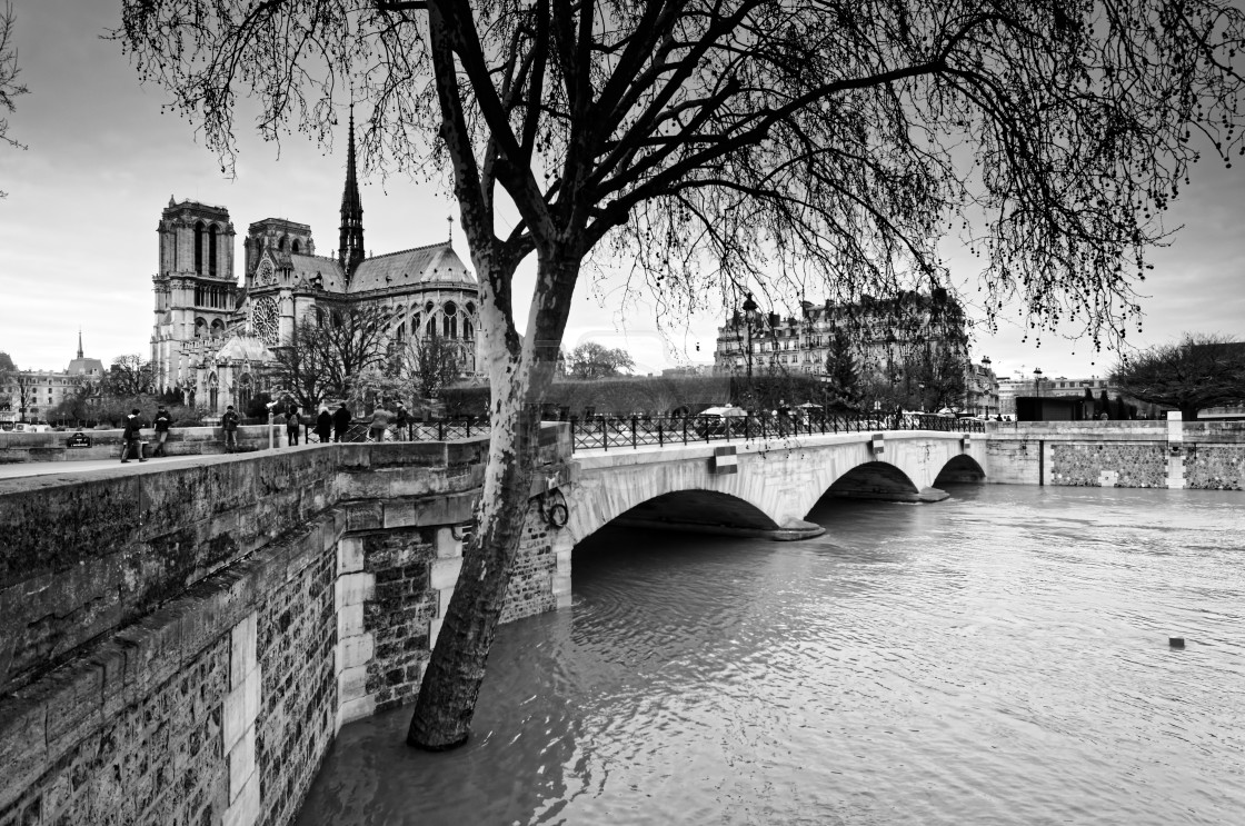 "Paris flood" stock image