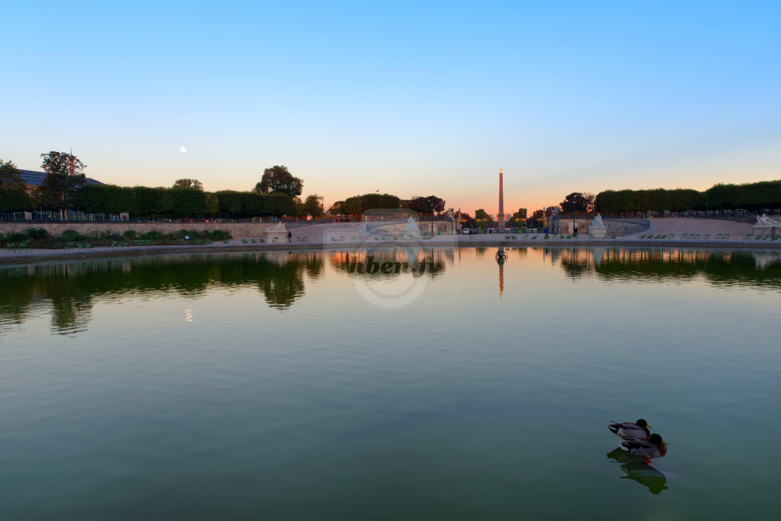 "Parisian ducks" stock image