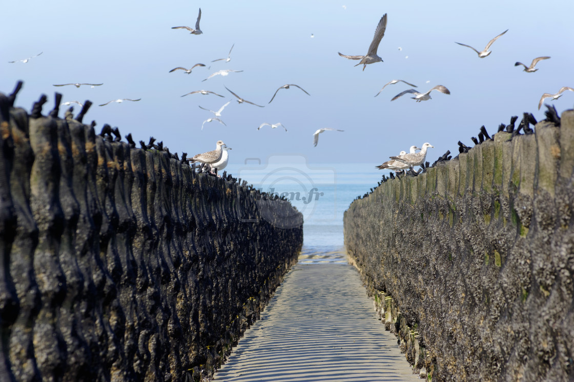 "Guend beach" stock image