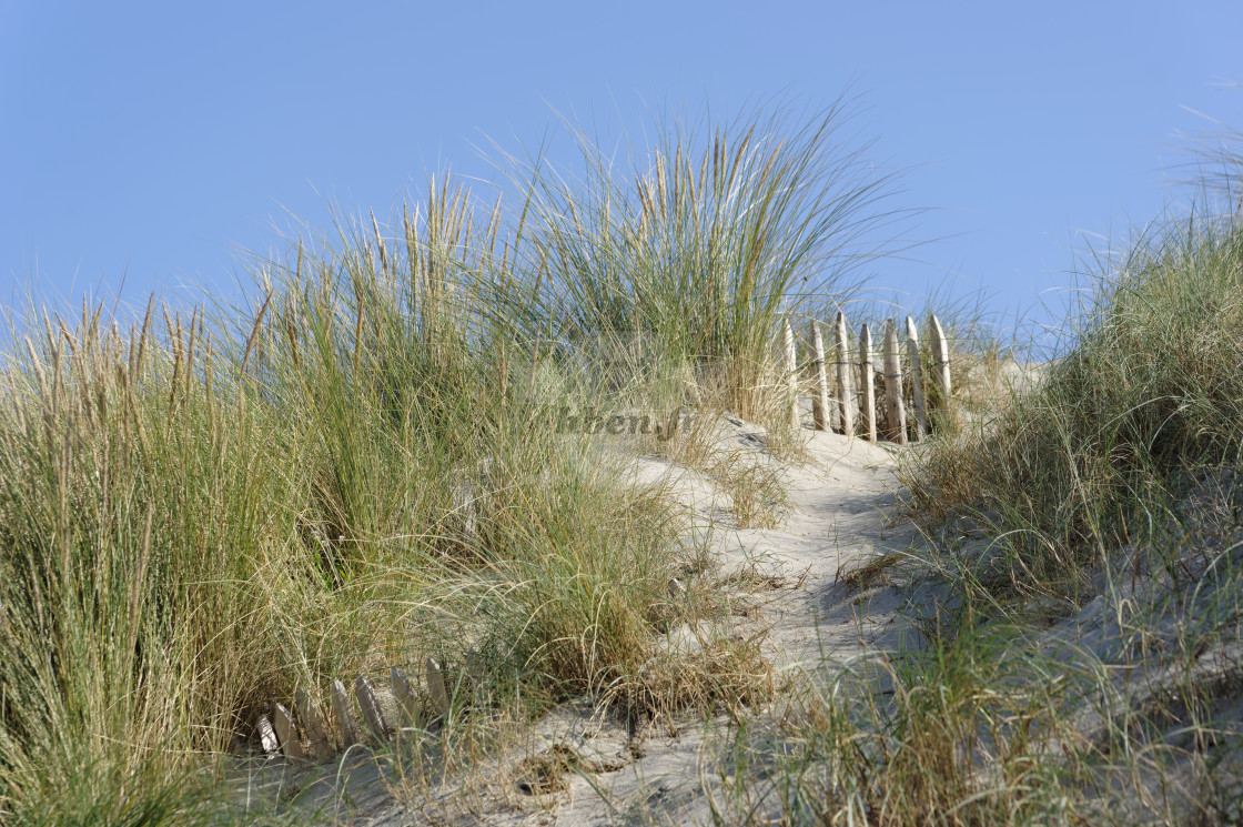 "Saint-Quentin-en-Tourmont Sand dune" stock image