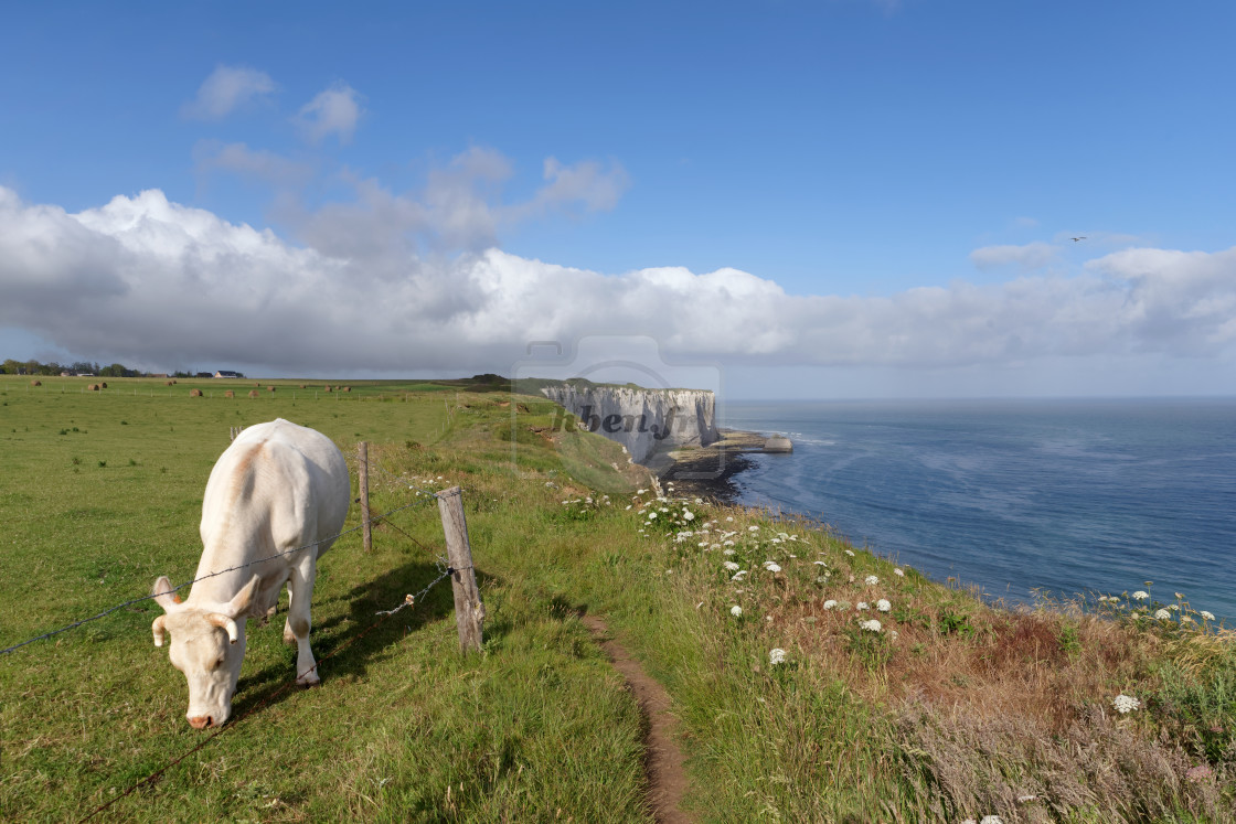 "Coastal path GR 21" stock image