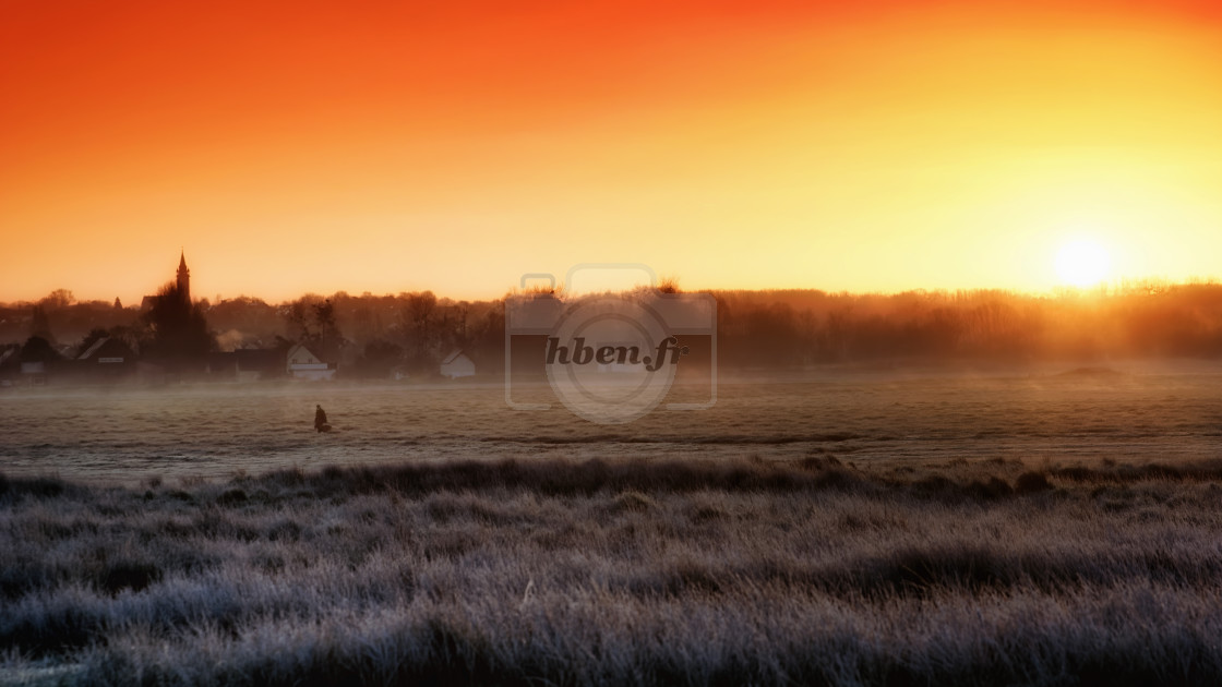 "Saltbush sunrise" stock image