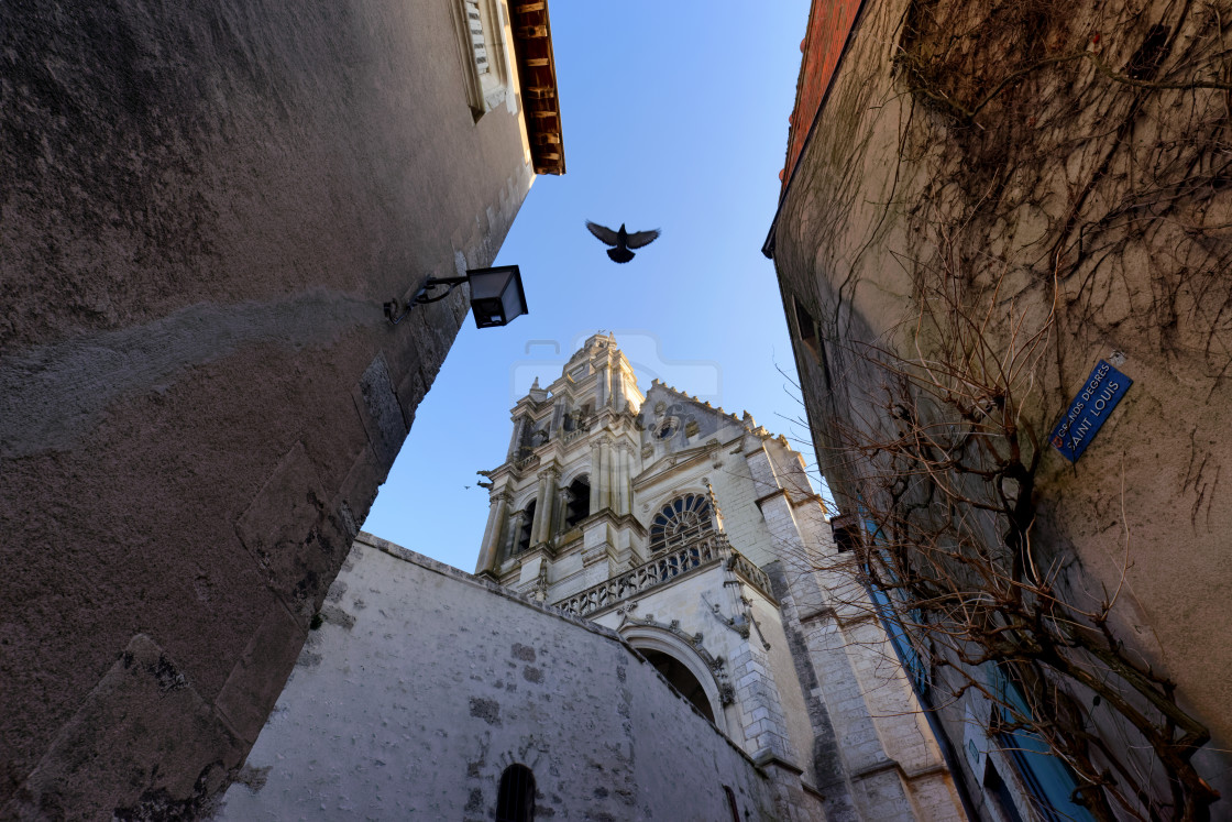 "Saint-Louis cathedral" stock image