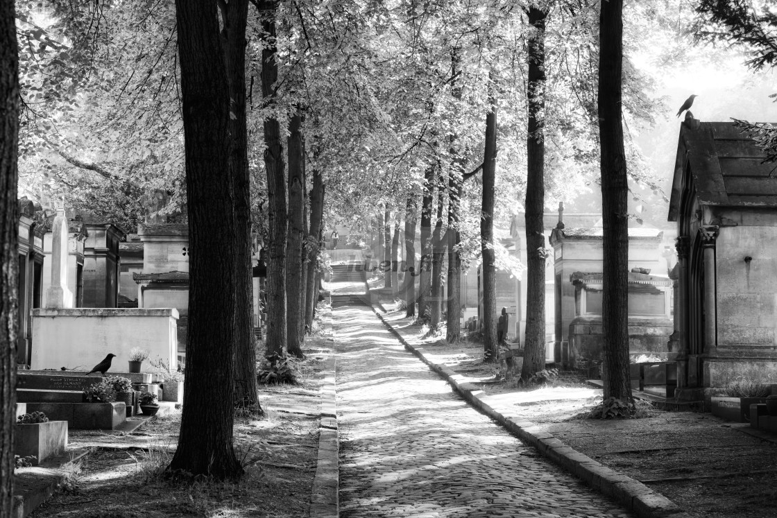 "Père-Lachaise alley" stock image