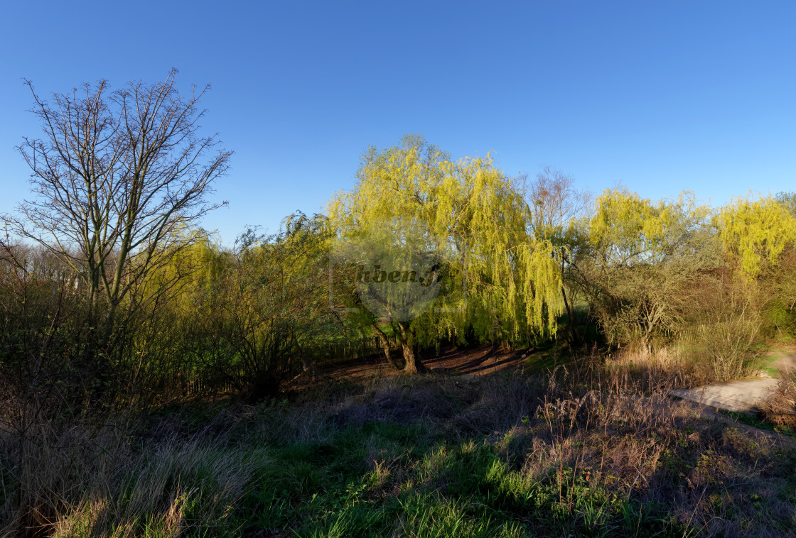 "Beaumonts nature park" stock image