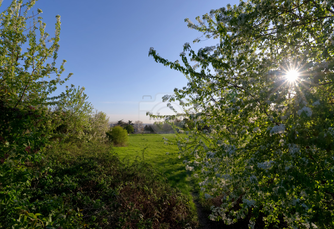 "Hillsides" stock image