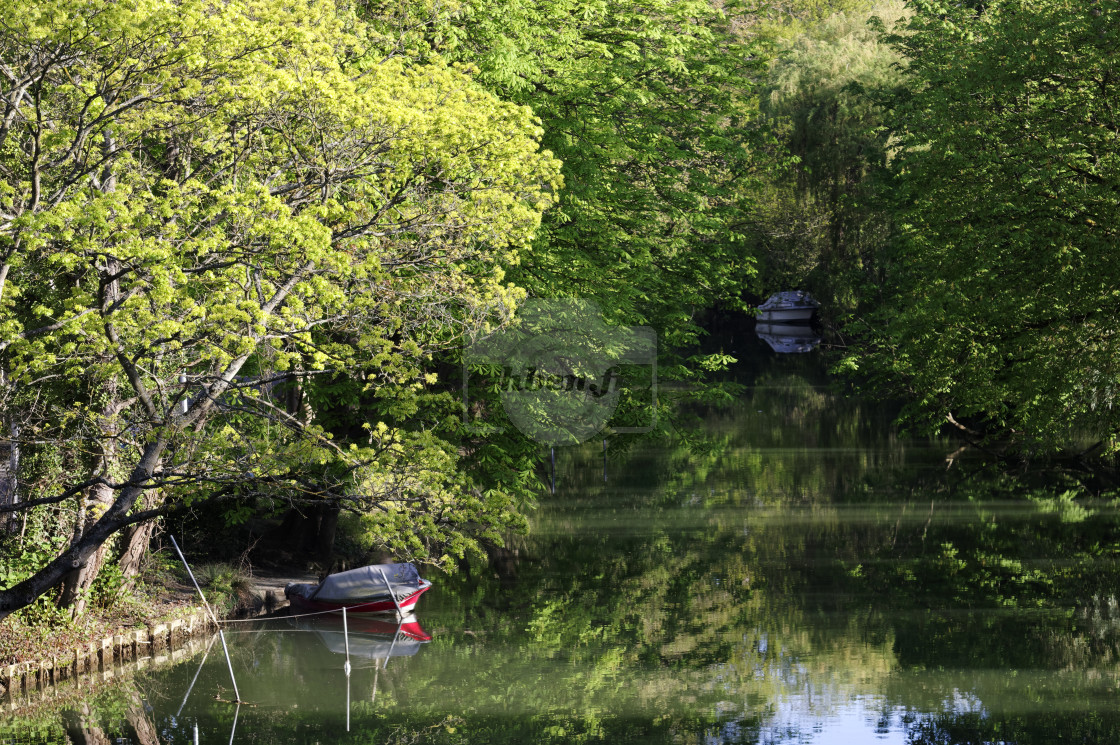 "Sainte-Catherine island" stock image