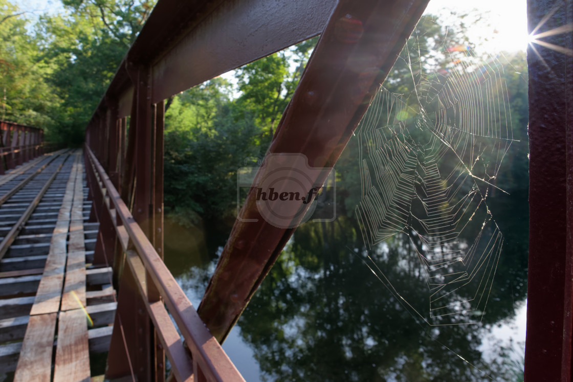 "Spider bridge" stock image