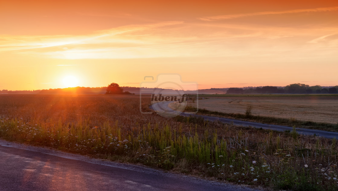 "Saint-Martin-en-Bière fields" stock image