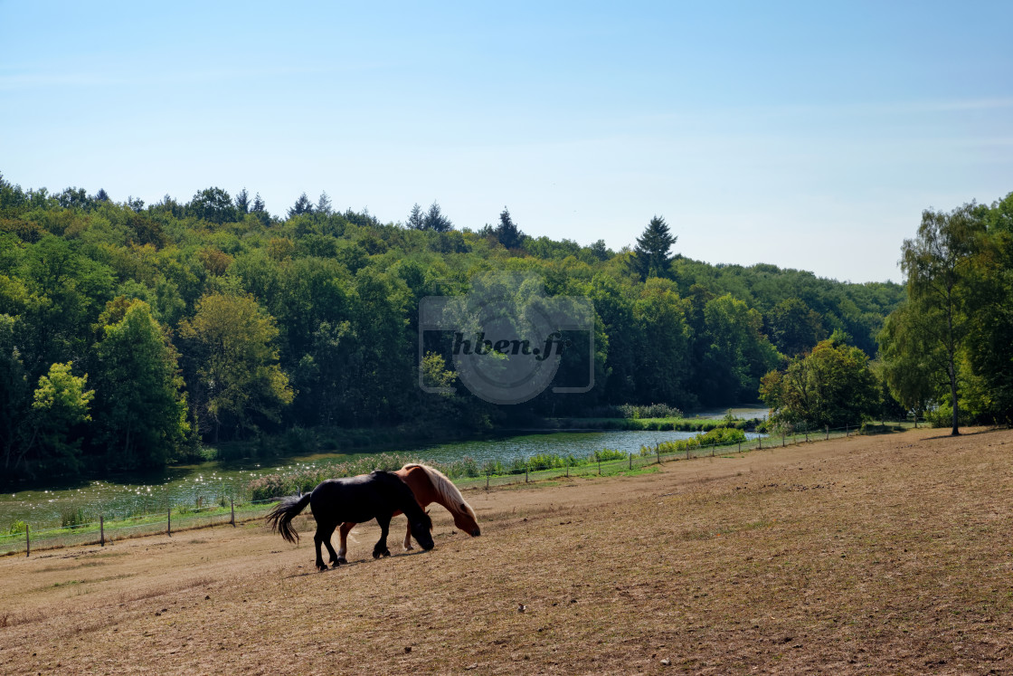 "Along the Ecole river" stock image