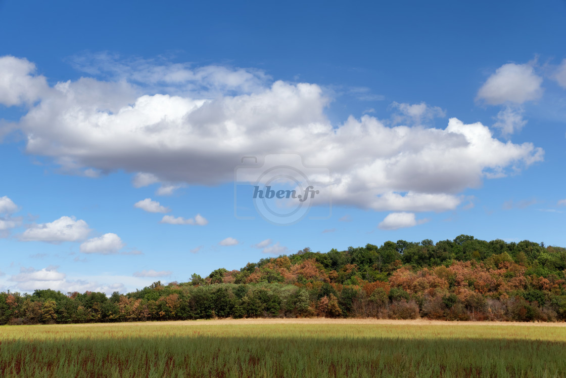 "Courances Hills" stock image