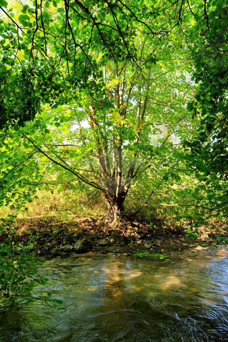 "Along the Ecole river" stock image