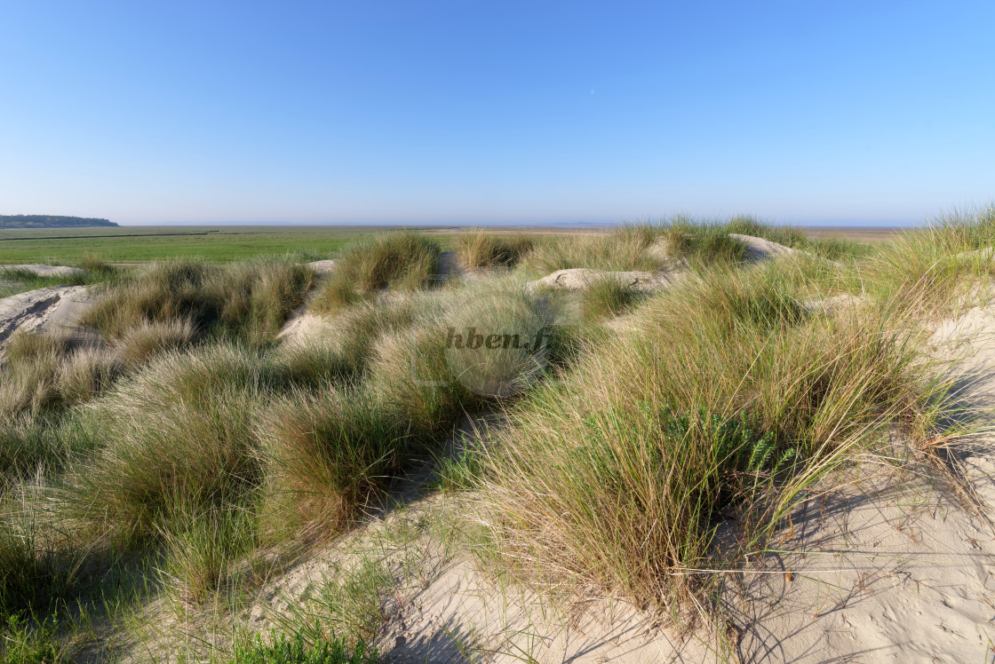 "Bay of Somme nature reserve" stock image