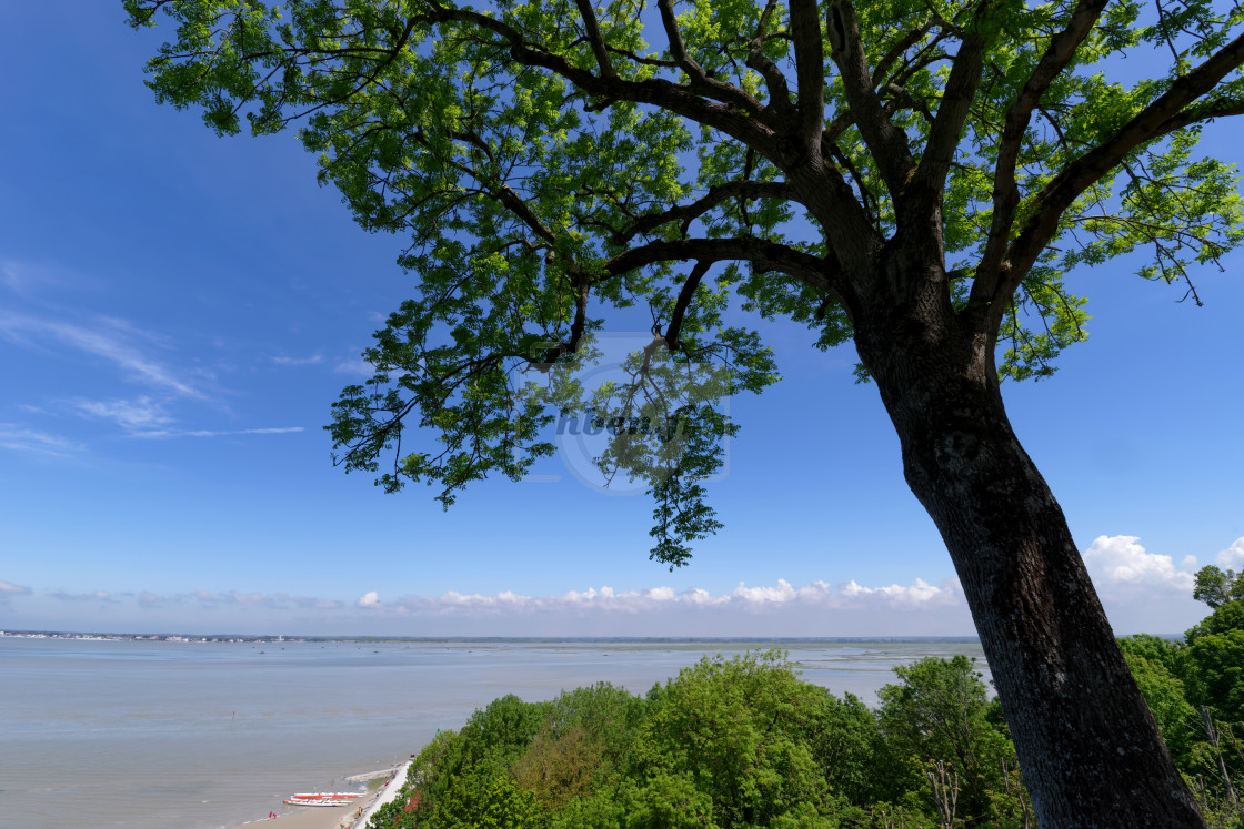 "Saint-Valery-sur-Somme coast" stock image