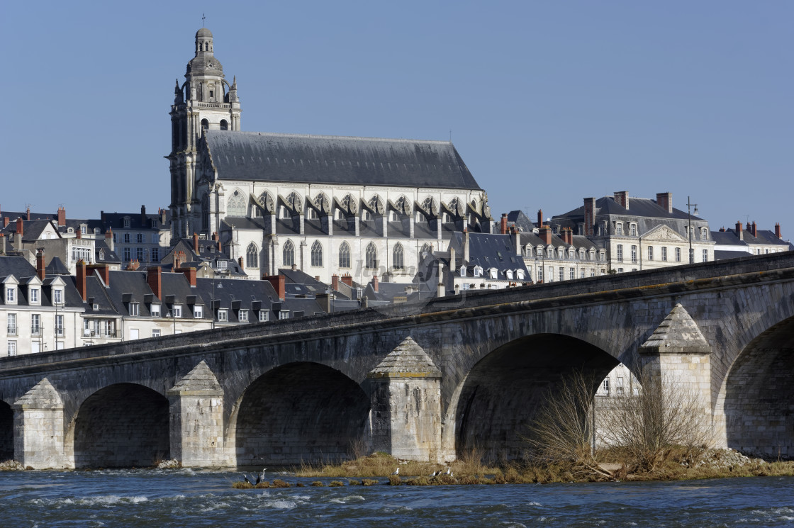 "Saint-Louis cathedral" stock image