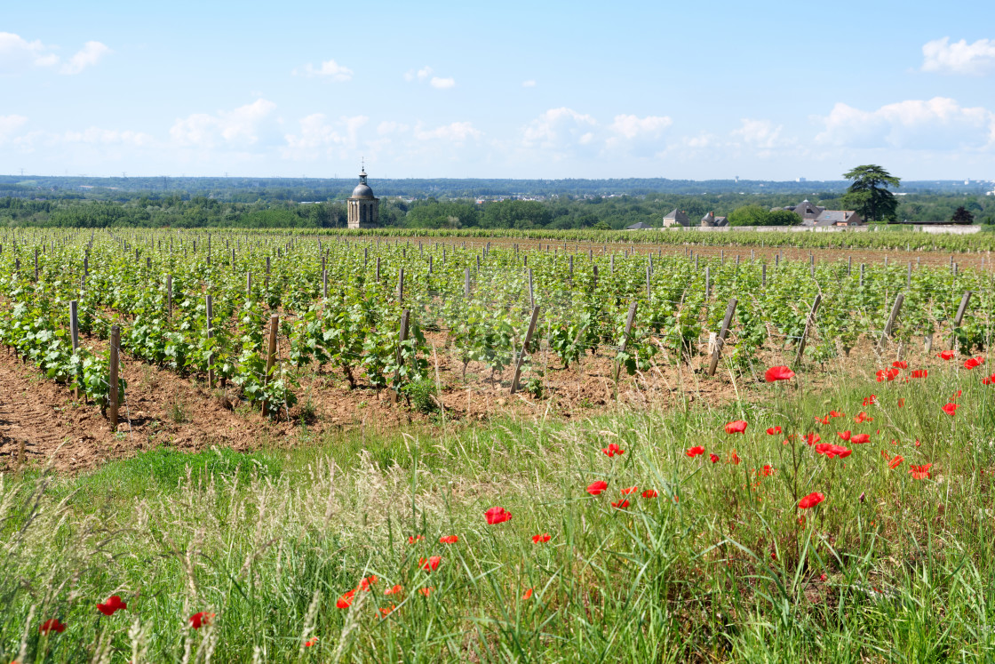 "Vouvray village" stock image