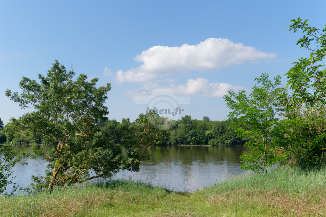 "Loire river bank" stock image