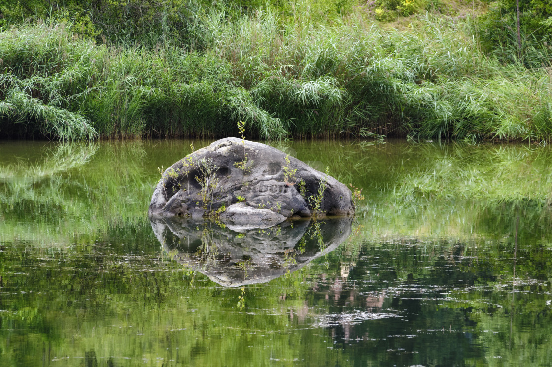 "Immersed rock" stock image