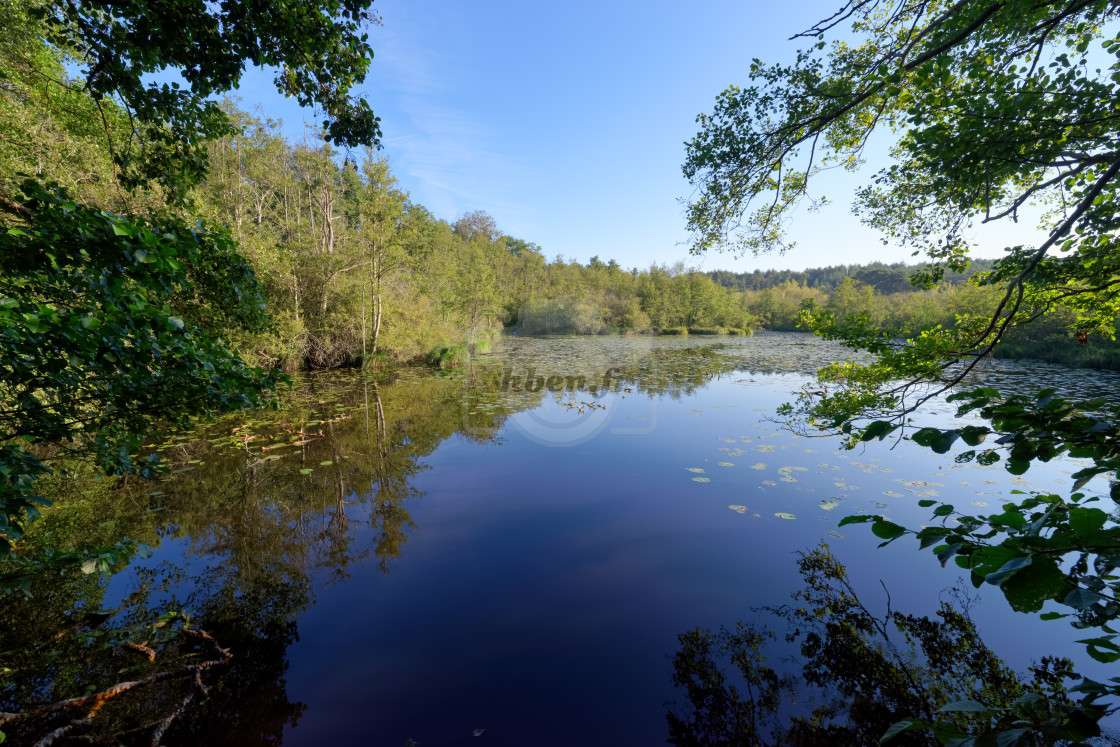 "Angennes pond" stock image