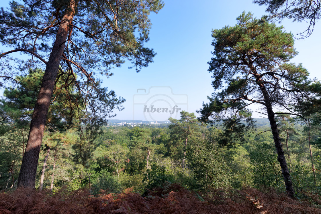 "Point de vue du rocher d'Avon" stock image