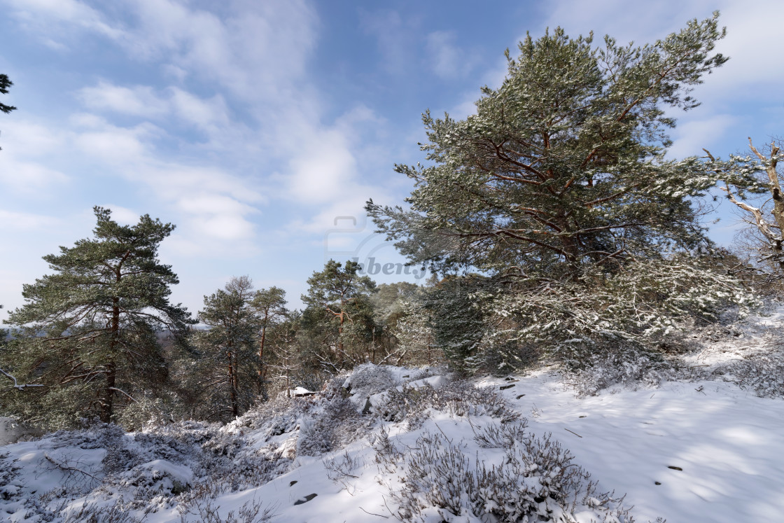 "Sentier du Cuvier-Chatillon" stock image