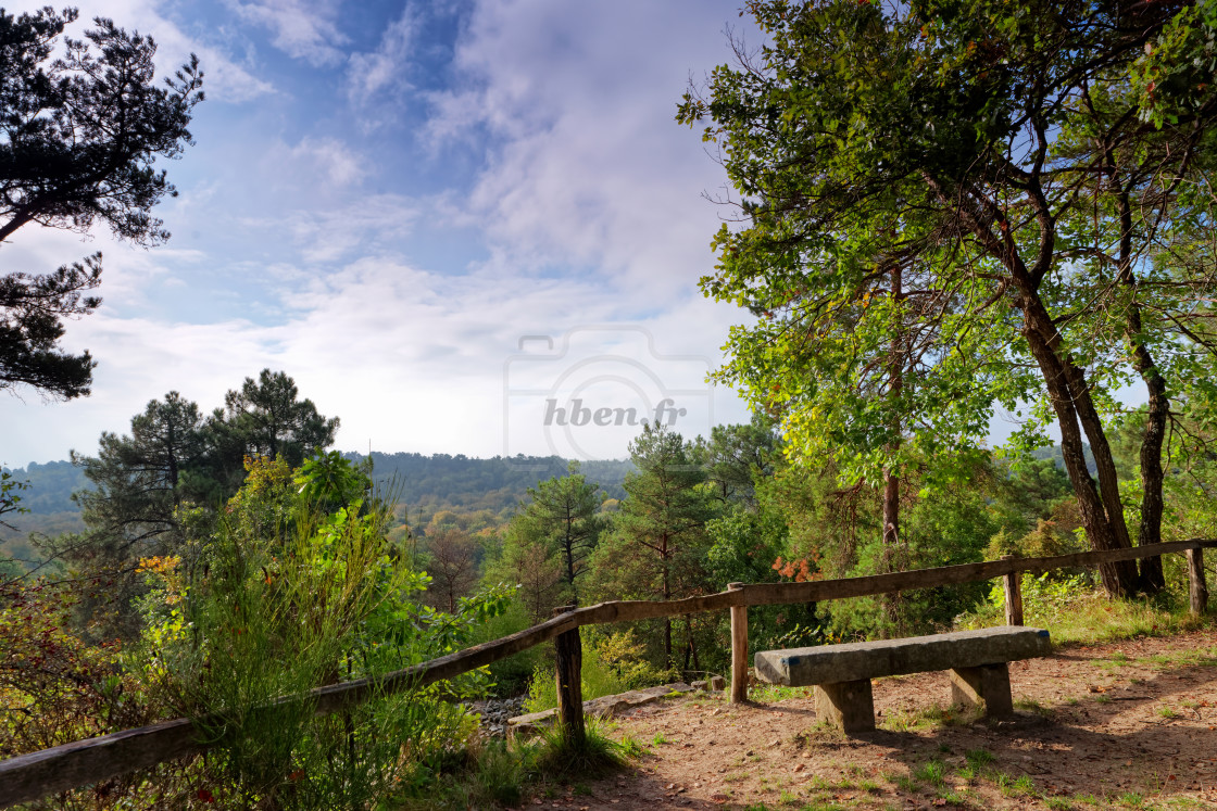 "Sentier bleu Denecourt 17" stock image