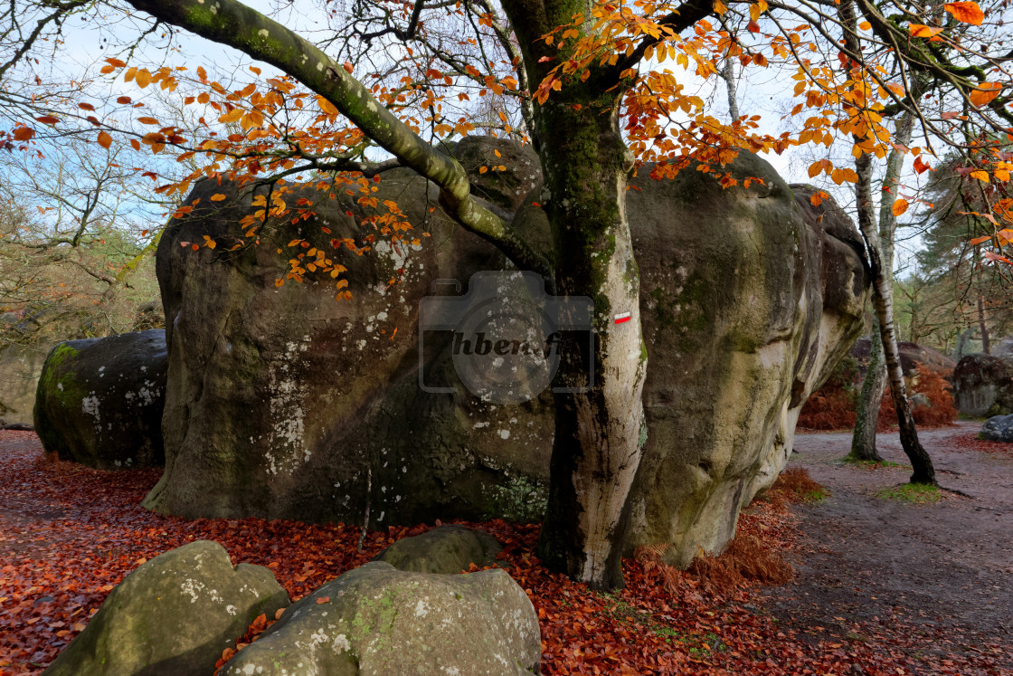 "Sentier bleu Denecourt 5." stock image