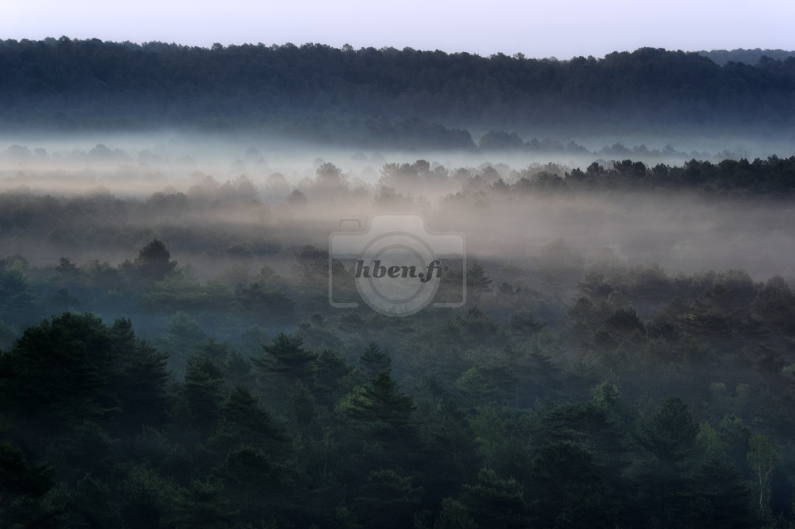 "Foggy morning" stock image