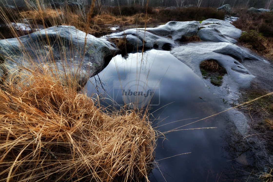 "Winter path" stock image