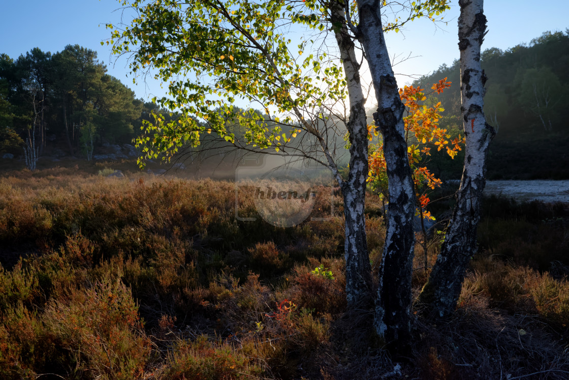 "The hot valley sunris" stock image