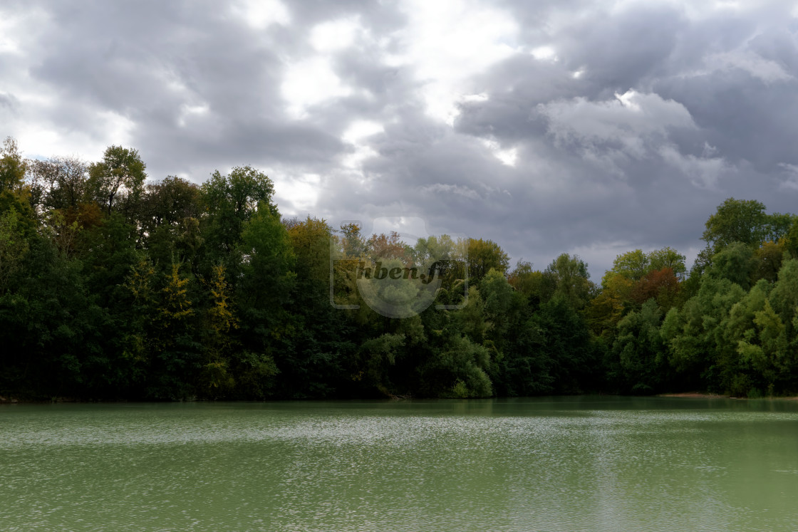 "Carnelle forest" stock image