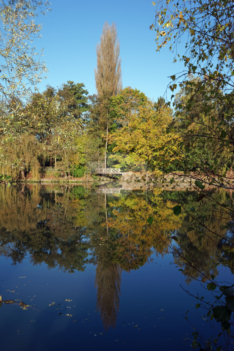 "Autumn reflection in Oise river" stock image