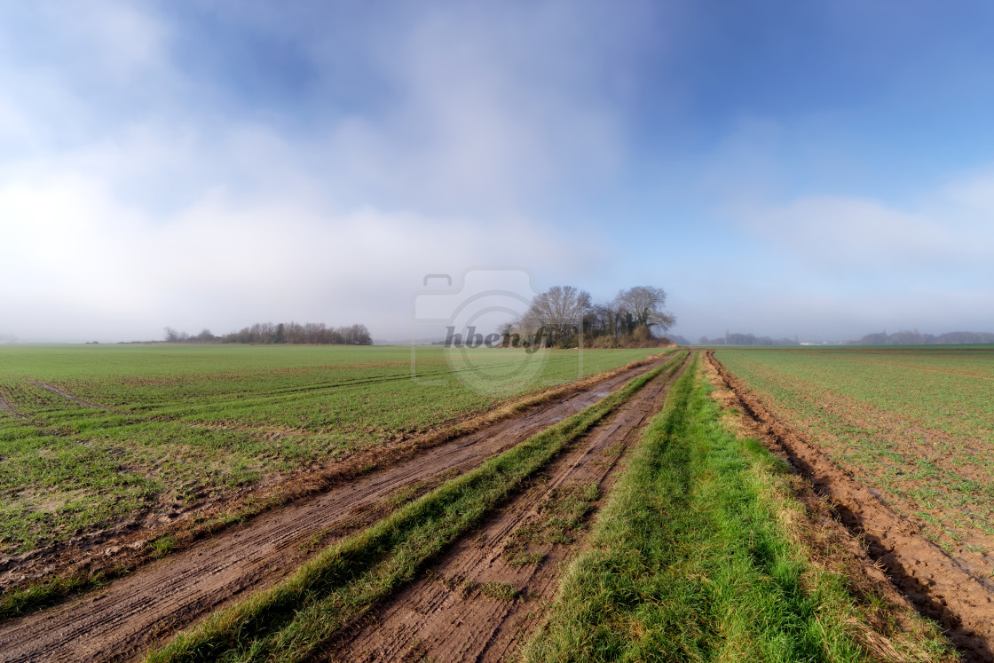 "Courances plain" stock image