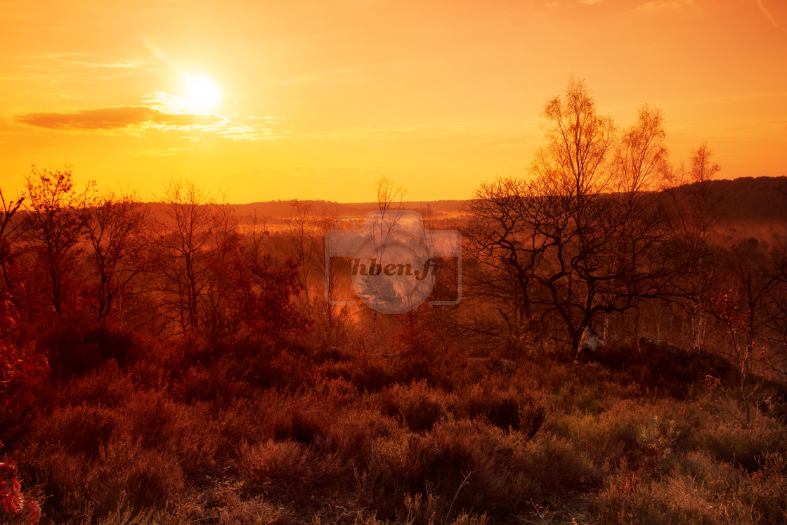 "Soleil d'or" stock image