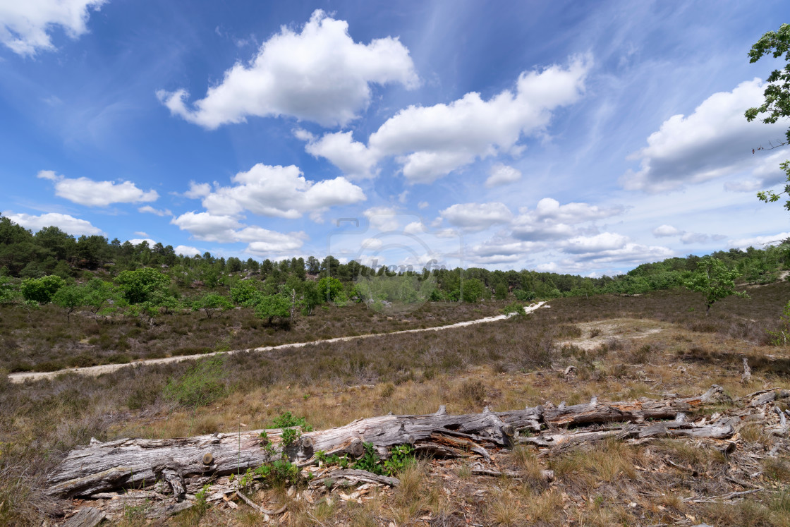 "Melun to Vaudoué path" stock image