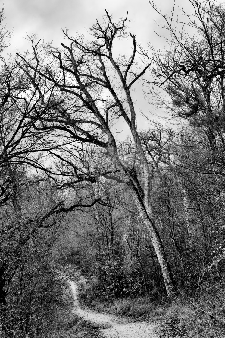 "Sur le chemin" stock image