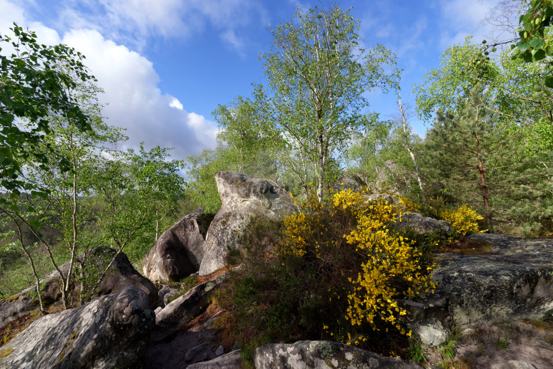 "Entre les rochers" stock image