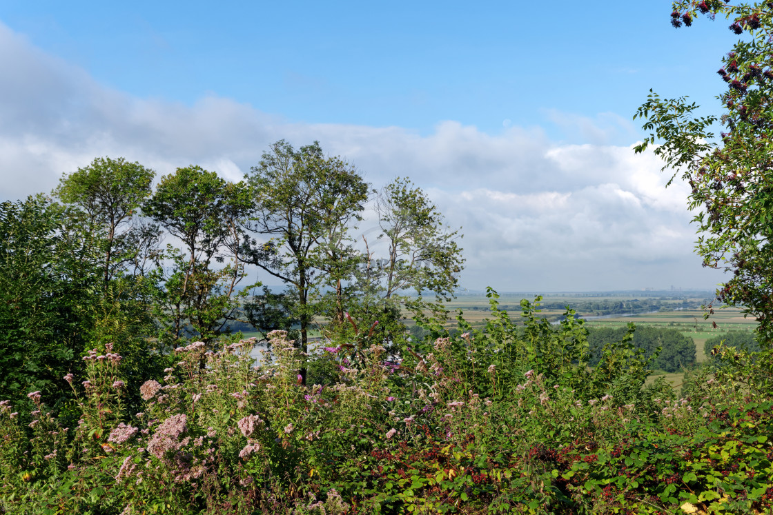 "On the hill" stock image