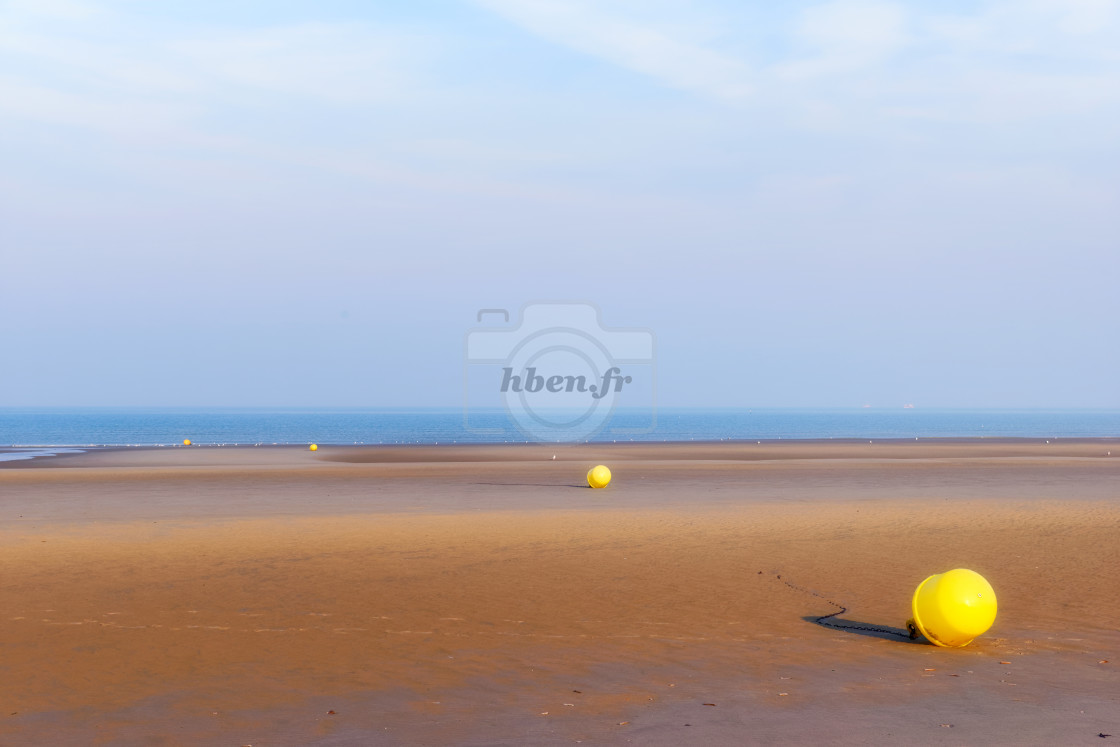 "Low tide and yellow buoys" stock image