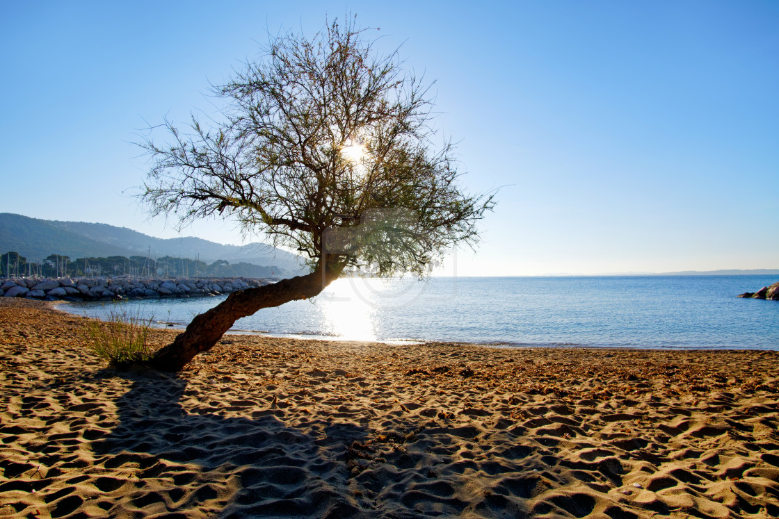 "Carqueiranne beach" stock image