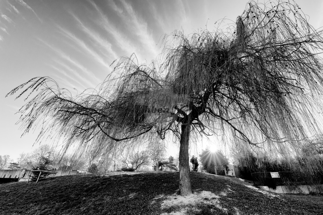 "Tino Rossi garden" stock image