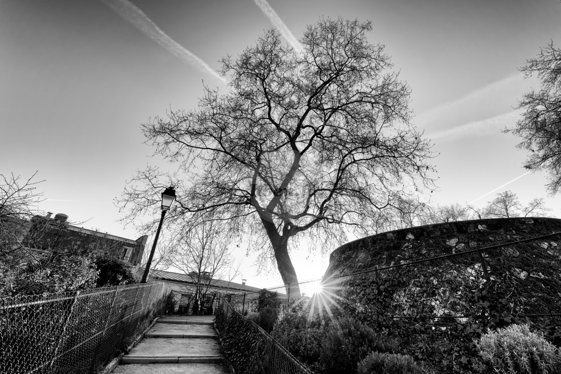 "Marcel Bleustein Blanchet garden" stock image