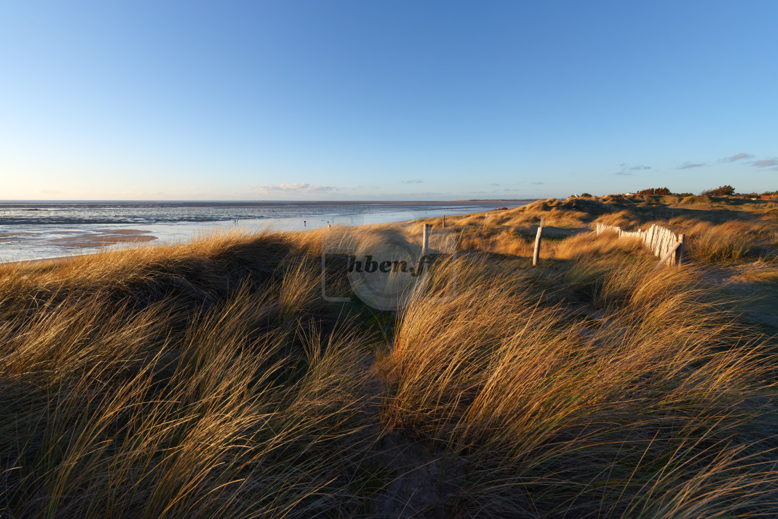 "Annoville sand dunes" stock image