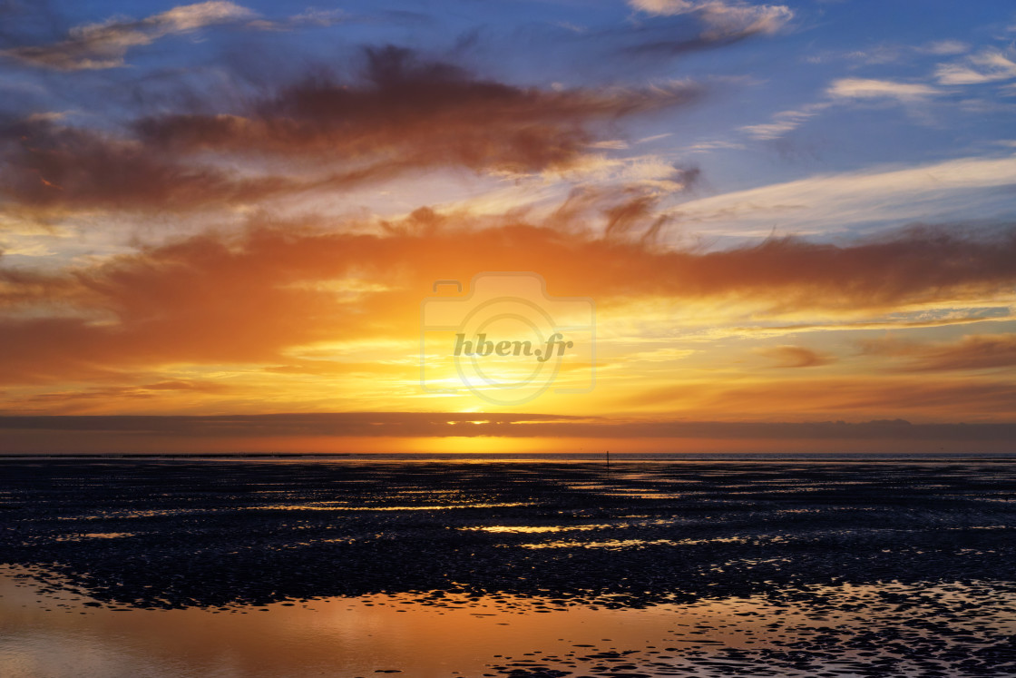 "The bouchot park of Hauteville-sur-Mer" stock image