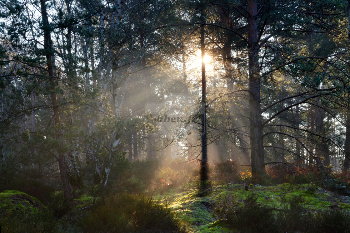 "Poligny sunrise" stock image