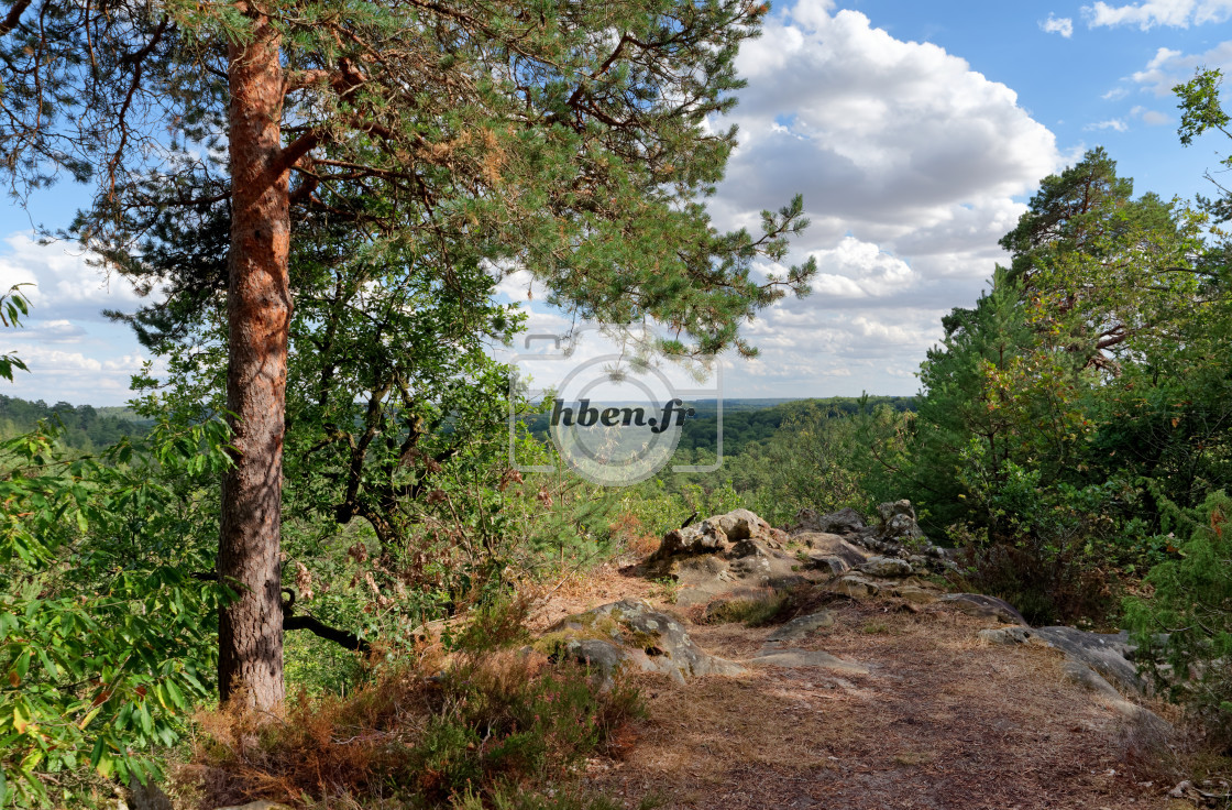 "Les Grands Longs Vaux" stock image