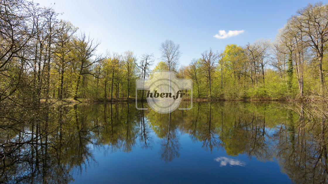 "Mare aux évées au printemps" stock image